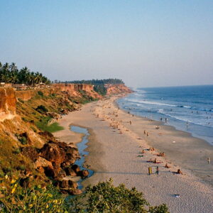 Beach Wonders