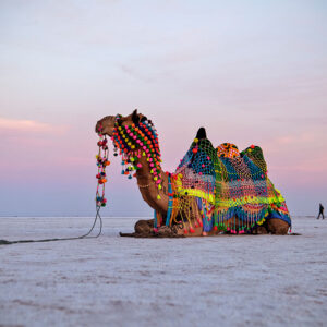 Best of Gujarat