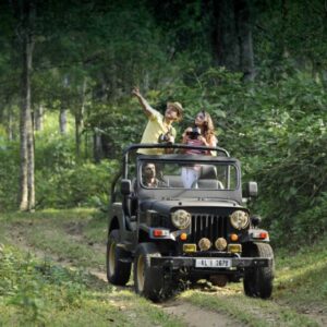 Kerala Houseboat & Jungle Safari Tour Package