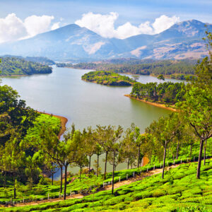 Munnar Hills Tour Package