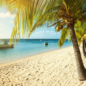 Mauritius Honeymoon Package With Catamaran Cruise
