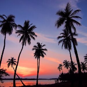 A Feel-Good Sri Lanka Sightseeing Tour Package